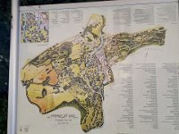 k-Bad Muskau 20180729 113517 (10)