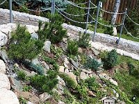 k-Miniaturenpark 20180728 151306 (44)