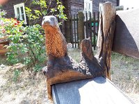 k-Rietschen 20180727 115140 (11)