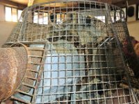 64 - Die Wasserpumpe